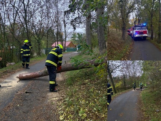 1-Strom Velvary - 10-25.jpg